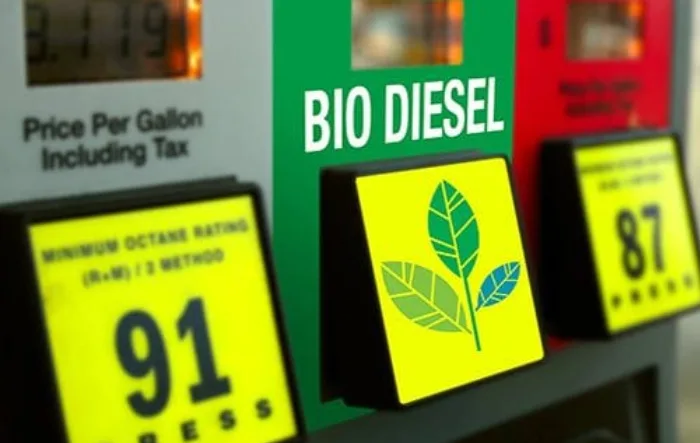 Aceite de soja subió mientras el petróleo cayó en los mercados internacionales