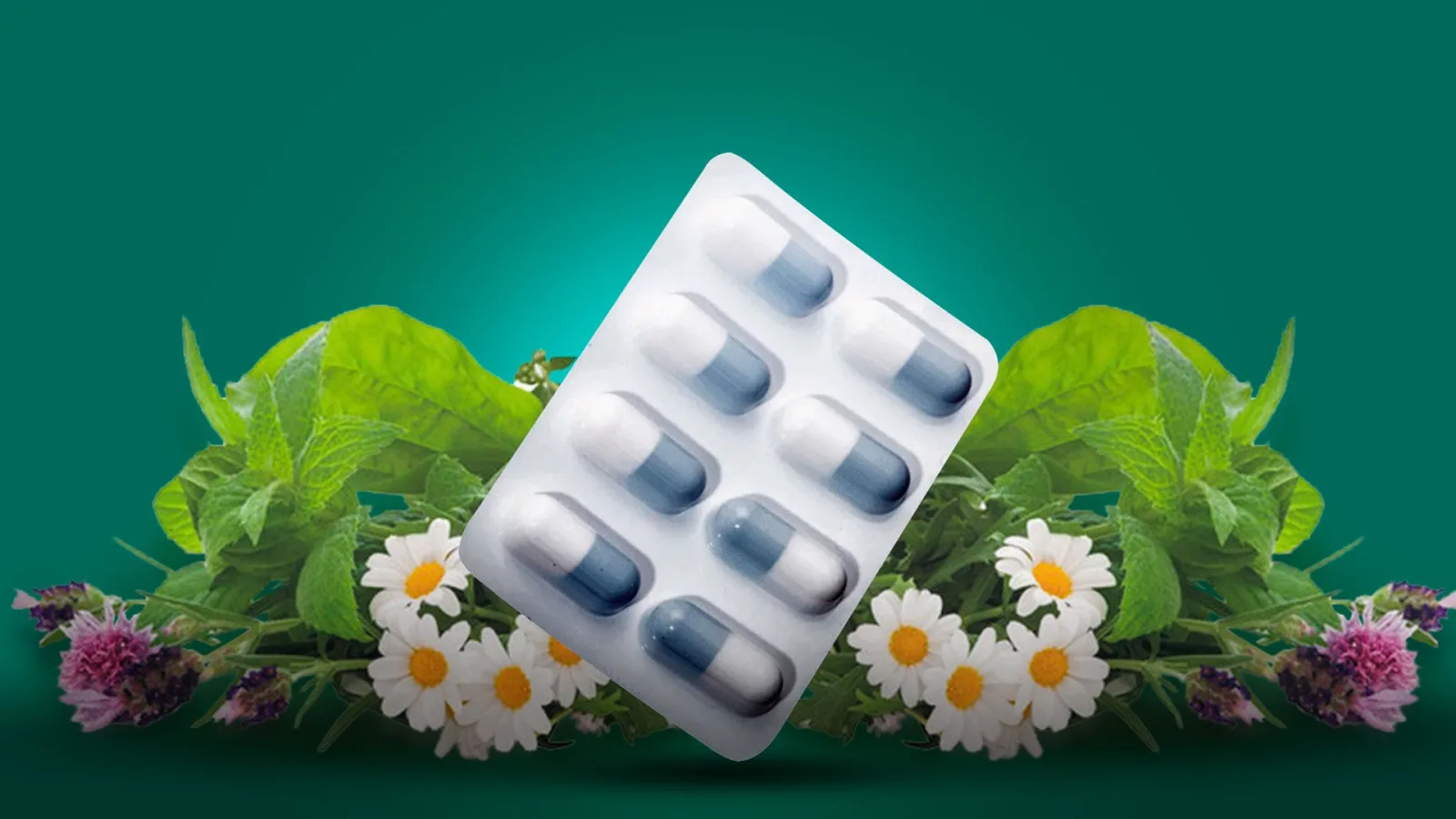 Cuál es la planta que alivia el dolor rápidamente y cómo se compara con el paracetamol