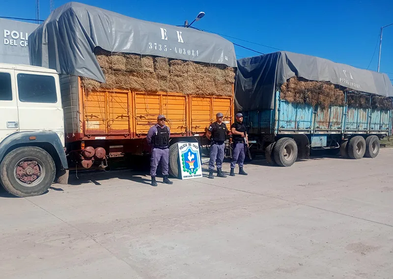 Decomisan más de 7 toneladas de semilla y fardos de alfalfa por documentación irregular