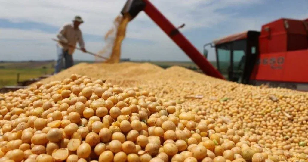 Liquidación de dólares del campo cayó 11% en el primer cuatrimestre pese al récord de cosecha