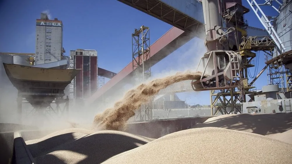 Liquidación de dólares del campo cayó 11% pese a cosecha récord