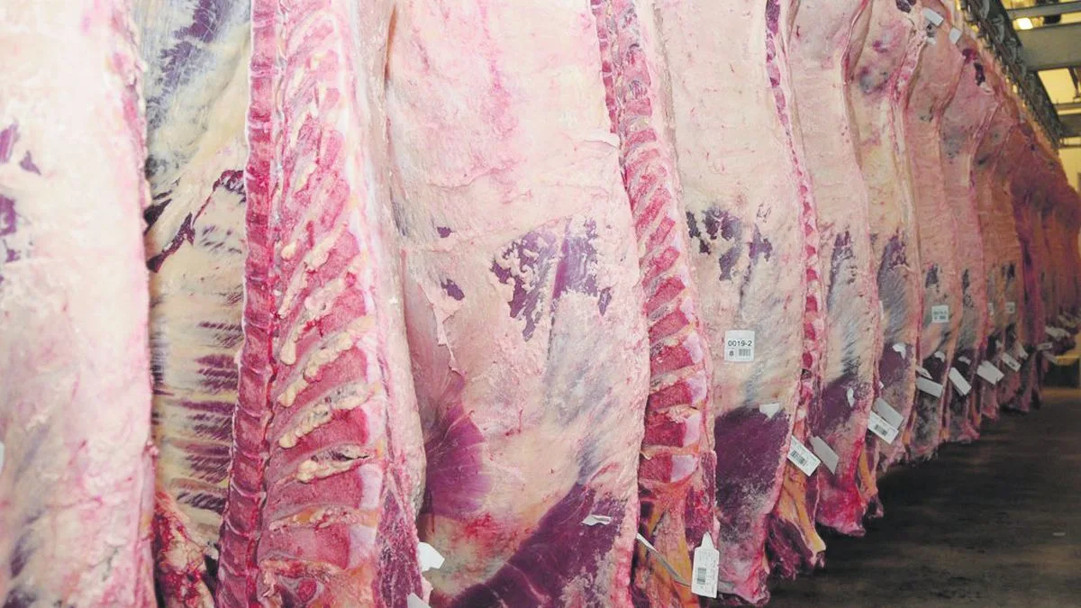 Para los frigoríficos tradicionales, el precio de la carne tocó techo