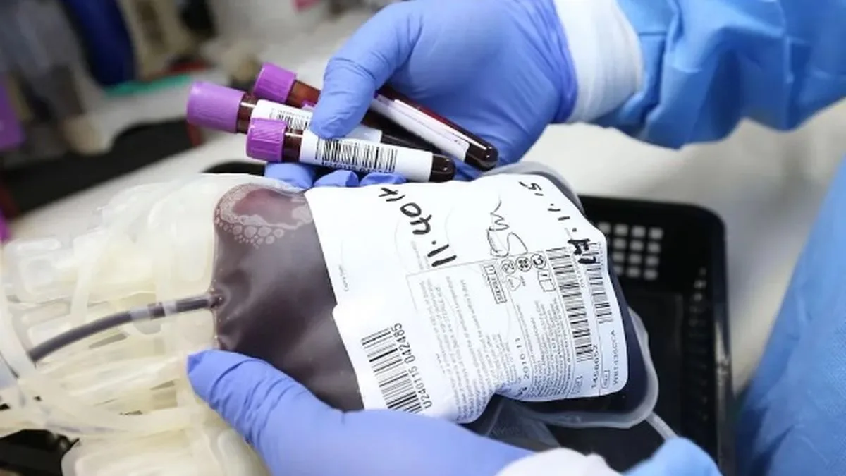 Sangre: eliminan la obligación de conseguir donantes familiares en los bancos